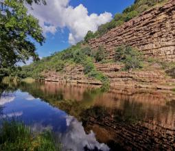 images/wedding/Ashante-Bush-Lodge-Weddings-Scenery.jpg